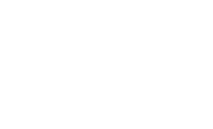 logo footer
